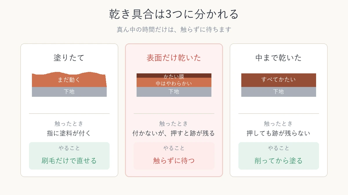 塗りたて、表面だけ乾いた、中まで乾いたの3段階を断面で比べた図