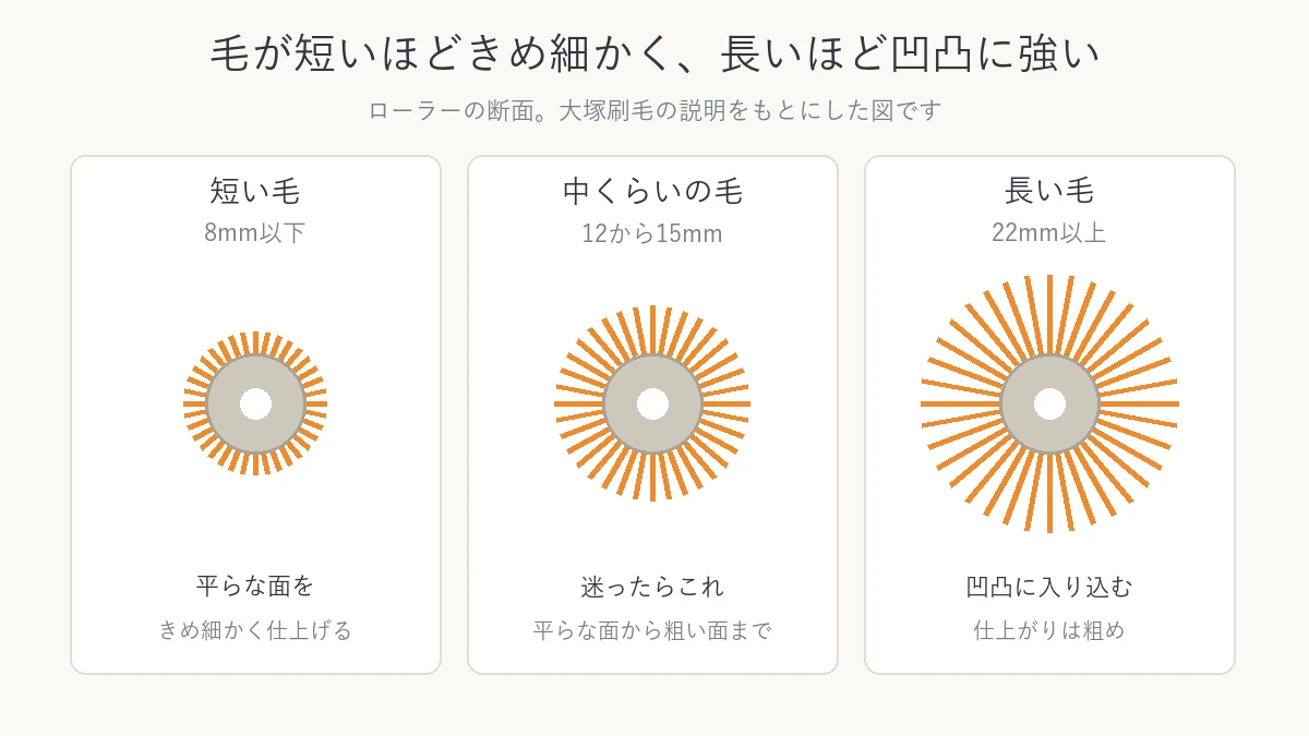 ローラーの断面で、短い毛、中くらいの毛、長い毛の長さの違いを比べた図解